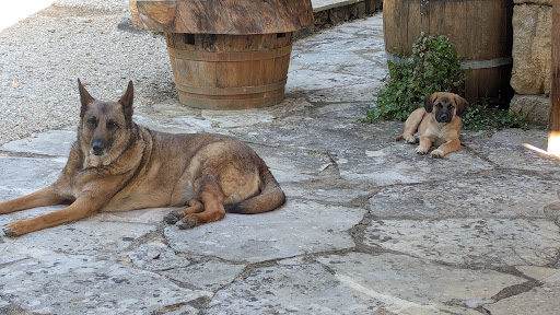 Foto van klantenbeoordeling
